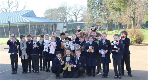 赛特福德文法学校课程设置