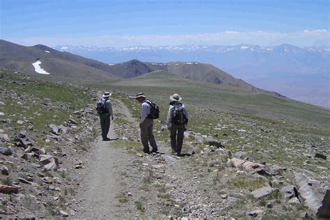 白山高中课程设置