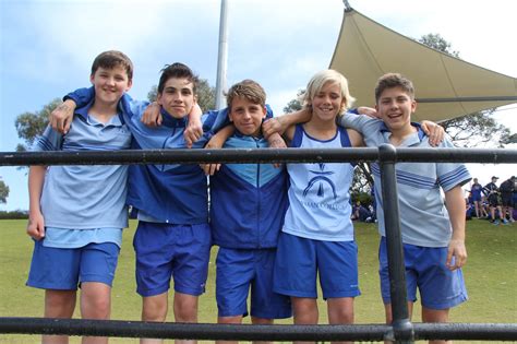 卡迪诺纽曼中学课程设置