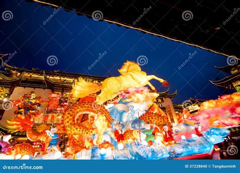 上海星马教育招生信息