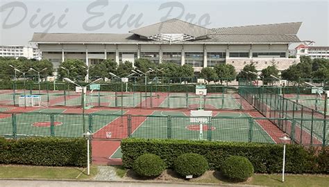 上海立信会计学院国际本科招生信息