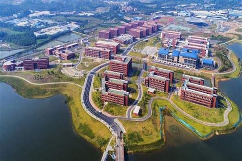 北京外国语大学佛山研究生院伦敦大学国际课程中心招生信息