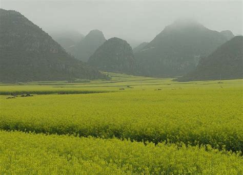 曲靖市民族中学国际部好不好
