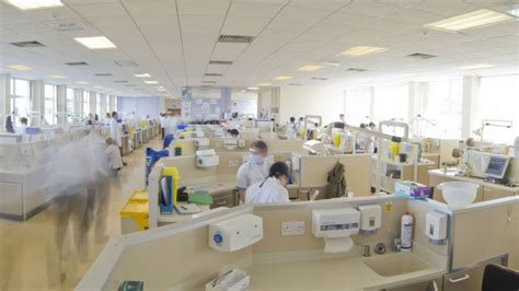 卡迪夫：言传身教诠释育人从父母的素质开始