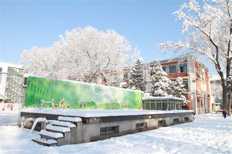 北大附属实验学校小学部怎么样?有哪些课程特色?