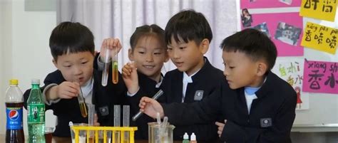 选择上海帕丁顿双语学校有哪些入读优势?