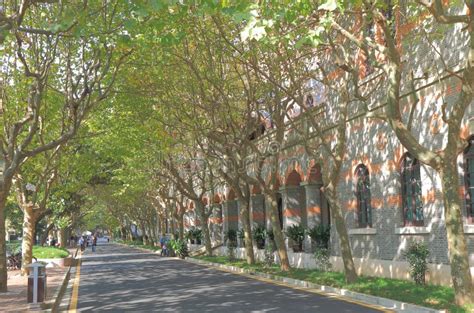 上海交通大学A-Level国际课程中心2017级招生简章
