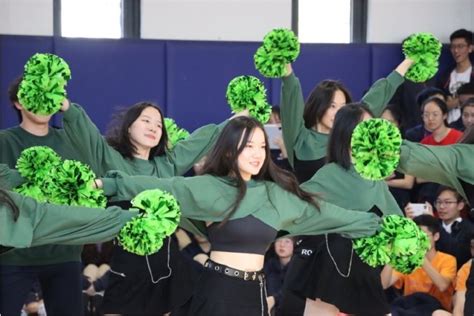 上海七宝德怀特中学好不好