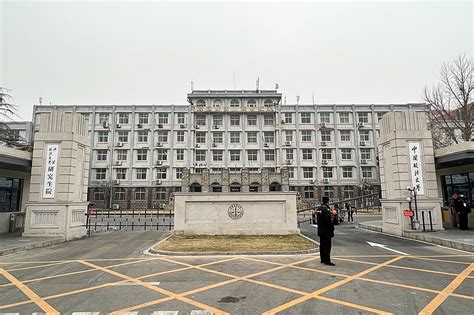 青苗国际双语学校海淀校区：采东西合璧之萃，品文化融合之美