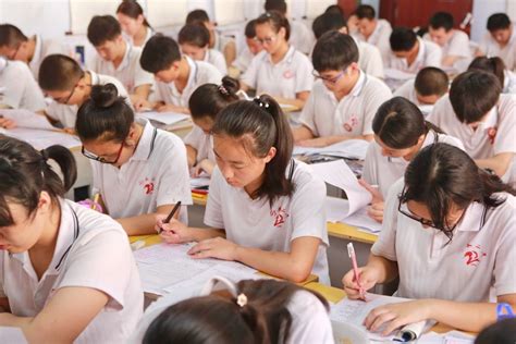 北京青苗国际双语学校招生学费多少?