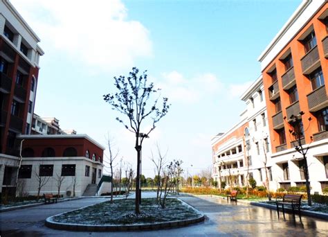 上海枫叶国际学校好不好呢