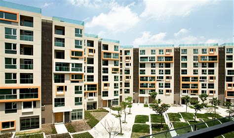 上海高藤致远创新学校课程体系及定向班级介绍