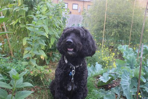 中加枫华国际学校小学部，60多门炫酷选修课任你选!