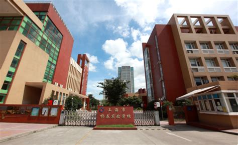 上海教科实验中学有哪些社团活动？