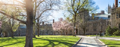 上海常青藤学校高中部2021招生简章