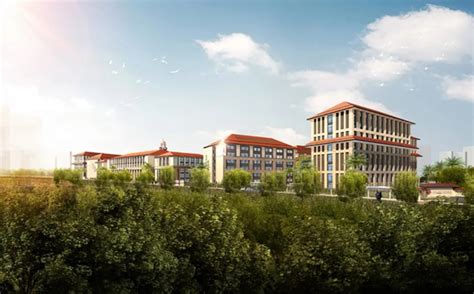 广州中大附属外国语实验中学2020年招生简章
