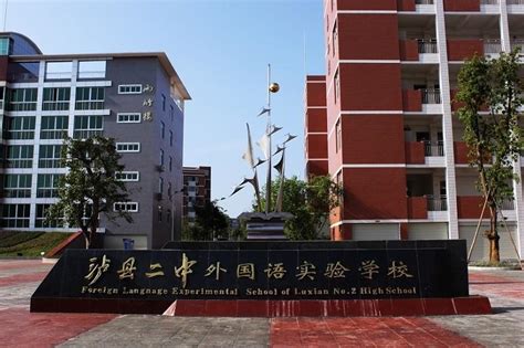 中大附属外国语实验中学怎么样