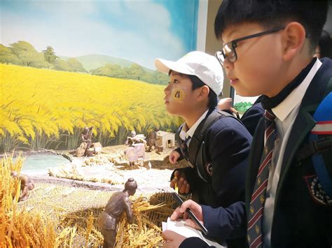 合肥常春藤实验学校校园与生活是怎样的?