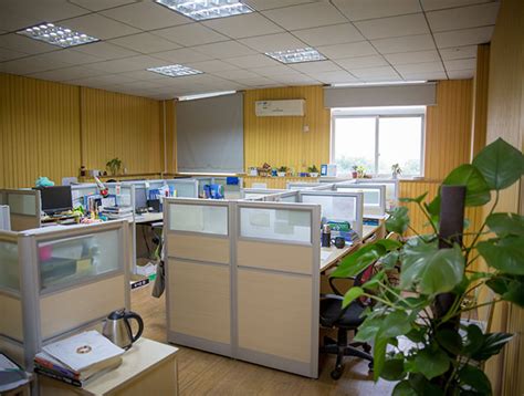 武汉二中国际部怎么样