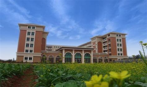 海南北大培文雅居乐双语学校怎么样