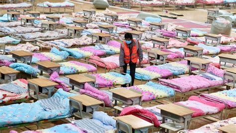 武汉市洪山高级中学国际部2017年招生简章