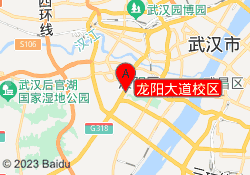 龙阳大道校区