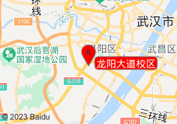 龙阳大道校区