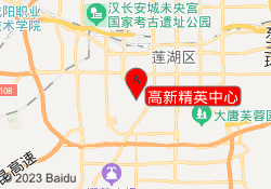 高新精英中心