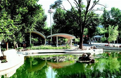陕西师范大学附中国际部国际本科预科课程