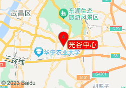 光谷中心