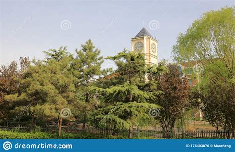 北京市忠德肃宁实验学校好吗