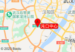 沌口中心