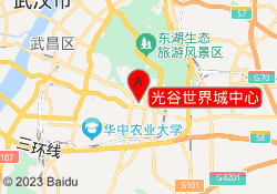 光谷世界城中心