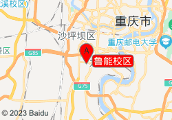 鲁能校区