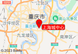 上海城中心