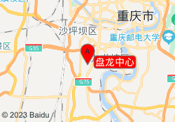 盘龙中心