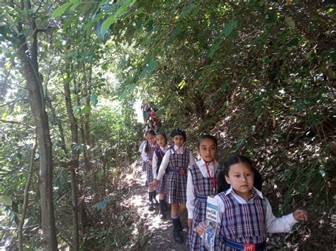 走近常春藤-北京常春藤国际学校