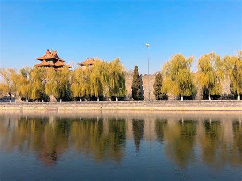 北京中杉学校学校条件怎么样？