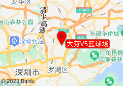 大芬V5篮球场