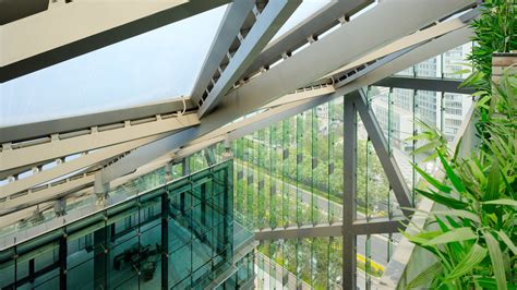 北京芳草地国际学校好不好