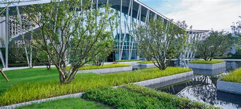 北京天悦学校：“移风易俗”，莫善于乐