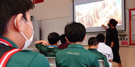 北京鼎石国际学校是否可插班?招生标准有哪些?