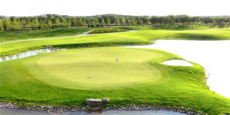 北京鼎石国际课程