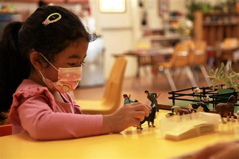 北京力迈中美国际学校-北美学校2020年2月春季直通班火热报名!