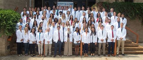 辰美国际艺术教育日本艺术定向班招生简章