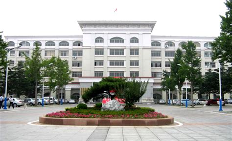 威海青苗国际双语学校国际初中招生简章
