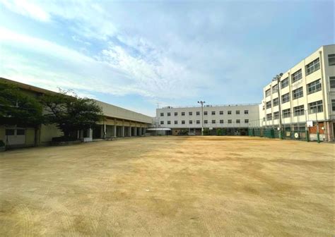 山东省齐鲁留学（国际）学校高中高考复读班招生简章