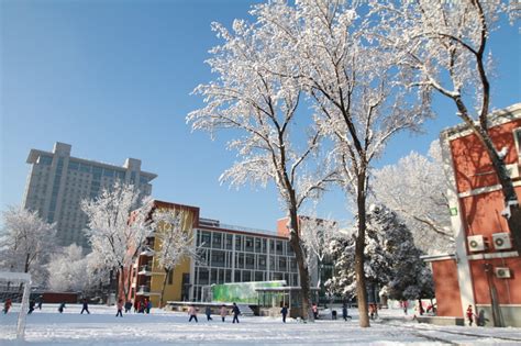 北京市忠德学校小学双语强化课程招生简章