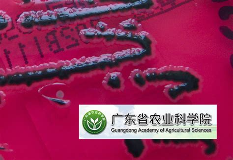中国社会科学院研究生院广东班金融投资与证券实务方向同等学力申硕招生简章（深圳市）