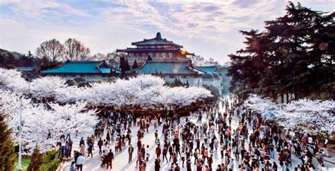 武汉工程大学环境工程在职研究生招生简章（武汉）